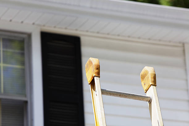 Best Residential Vinyl Siding Installation  in Dalhart, TX