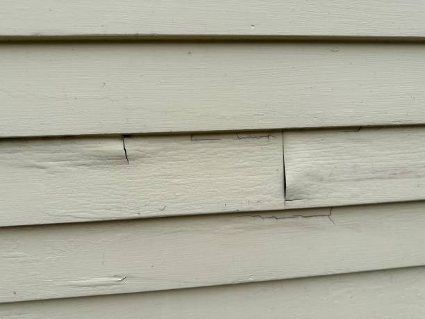 Custom Trim and Detailing for Siding in Dalhart, TX